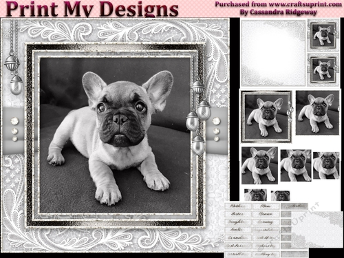 Happy Birthday thank you with love pyramid mini kit with dogs