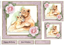 Happy Birthday Toppers