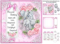 Ladies animal collection birthday kit
