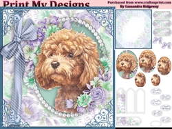 cute Dog collection