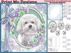 cute Dog collection