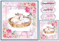 Just for you Fab floral Collection