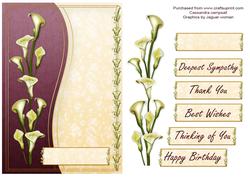 Lilly Card Front