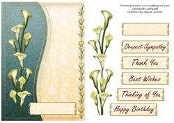 Lilly Card Front