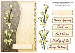 Lilly Card Front