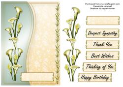 Lilly Card Front