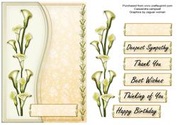 Lilly Card Front