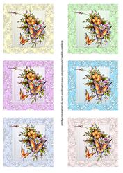 Square Card Fronts