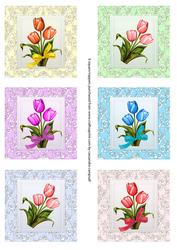 Square Card Fronts