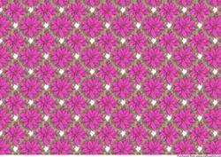 Poinsettia Christmas Background