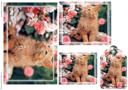 kitty Toppers with tags