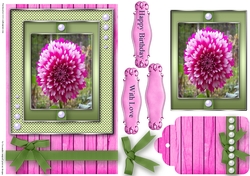 Birthday with love Quick Card
