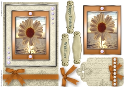 Birthday with love Quick Card