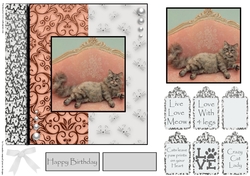 cats leave paw prints on your heart 