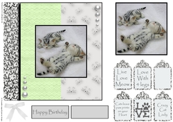 cats leave paw prints on your heart