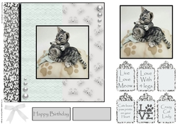 cats leave paw prints on your heart 