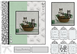 cats leave paw prints on your heart