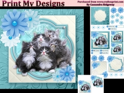 cute kittens mini kit