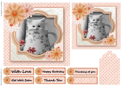 Birthday Female Quick card