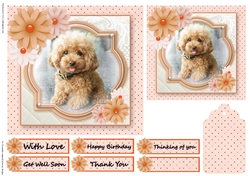 Birthday Female Quick card