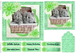 Birthday Female Quick card