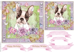 Happy Birthday Quick card collection