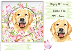 Happy Birthday Quick card collection
