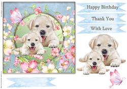 Happy Birthday Quick card collection