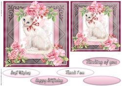Happy Birthday card collection