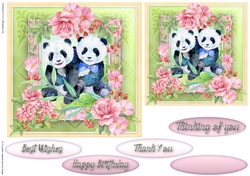 Happy Birthday card collection