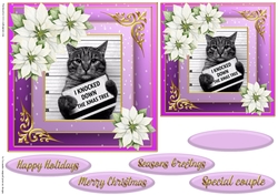 Christmas cat quick card