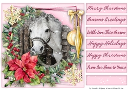 Christmas quick card selection