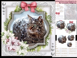 Christmas Pyramage mini kit 14