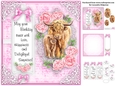 Ladies animal collection birthday kit