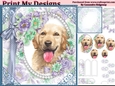 cute Dog collection