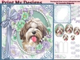 cute Dog collection