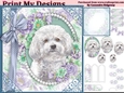 cute Dog collection