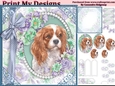 cute Dog collection