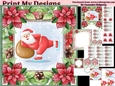 Christmas poinsettia