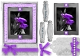 Black and White with a spash of color Quick Card
