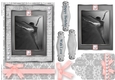 Black and White ballet Quick Card
