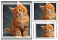 kitty Toppers for birthday thank you and much more