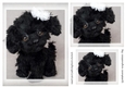 dog Toppers for birthday thank you and much more