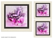 water color Toppers collection - butterfly