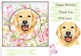 Happy Birthday Quick card collection