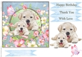 Happy Birthday Quick card collection