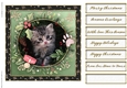 Christmas cats quick card collection