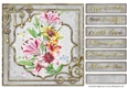 Happy Birthday Quick card collection