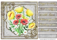 Happy Birthday Quick card collection