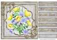 Happy Birthday Quick card collection